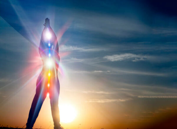 Les chakras